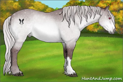 Horse Color:Chocolate Silver Bay Chinchilla 