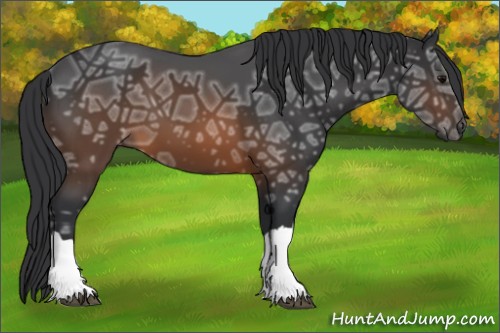 Horse Color:Brown Ice 