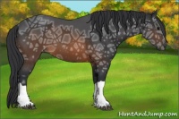 Horse Color:Brown Ice 