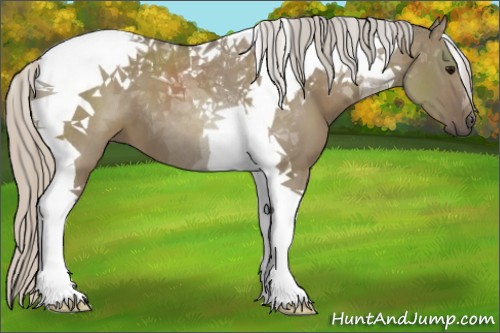 Horse Color:Silver Grullo Tobiano 