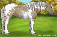 Horse Color:Silver Grullo Tobiano 