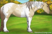 Horse Color:Grullo Pearl Tobiano