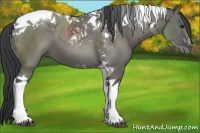 Horse Color:Grullo Tobiano