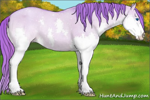 Horse Color:Watercolor Red Dun Splash