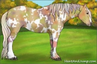 Horse Color:Nacre Watercolor White Spotted Silver Bay 
