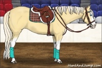 Horse Color:Palomino Dun Splash