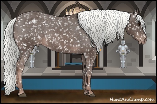 Horse Color:Liver Chestnut Appaloosa 