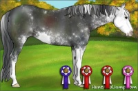 Horse Color:Black Sabino