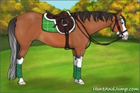 Horse Color:Bay Splash 