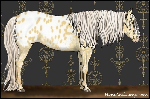 Horse Color:Palomino Dun Splash Blanket