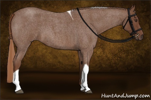 Horse Color:Red Roan Tobiano 