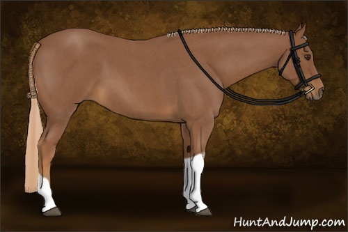 Horse Color:Red Roan Tobiano 