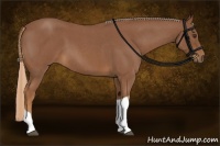 Horse Color:Red Roan Tobiano 