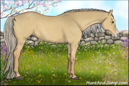 Horse Color:Palomino Dun Splash