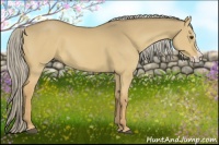 Horse Color:Palomino Dun Splash