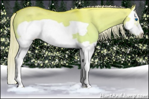 Horse Color:Palomino Dun Splash Frame