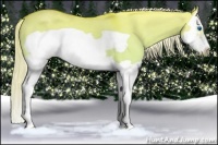 Horse Color:Palomino Dun Splash Frame