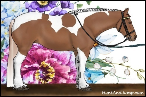 Horse Color:Chestnut Tobiano 