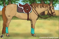 Horse Color:Red Dun