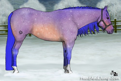 Horse Color:Watercolor Bay Roan