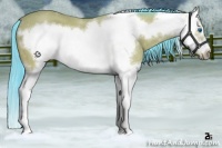 Horse Color:Watercolor Bay Roan Splash Frame 