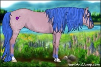 Horse Color:Watercolor Bay Dun 