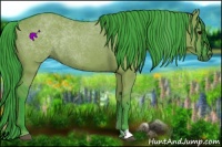 Horse Color:Watercolor Grullo 