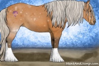 Horse Color:Silver Bay 