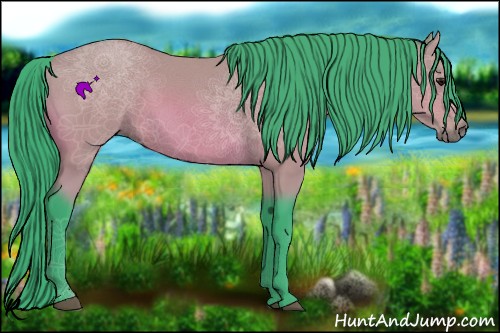 Horse Color:Watercolor Bay 