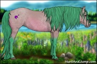 Horse Color:Watercolor Bay