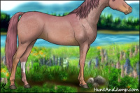Horse Color:Watercolor Chestnut 