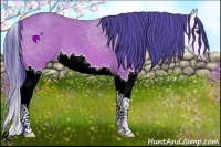 Horse Color:Watercolor Bay Splash 