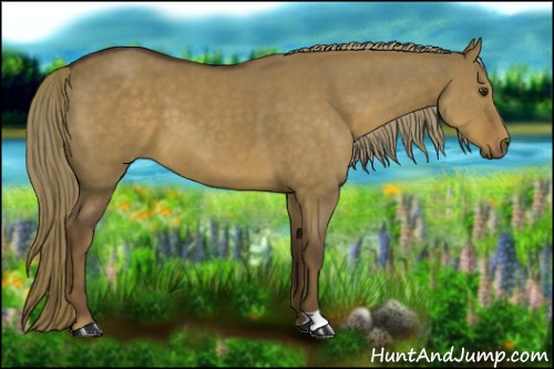 Horse Color:Liver Red Dun 