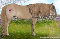 Horse Color:Watercolor Chestnut 