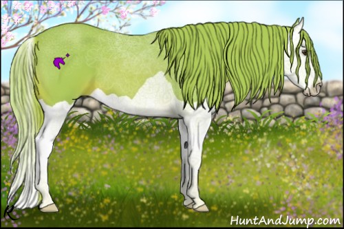 Horse Color:Watercolor Chestnut Splash 