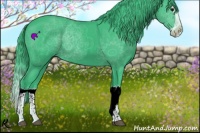 Horse Color:Watercolor Black Splash 