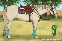 Horse Color:Perlino 