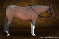 Horse Color:Bay Roan Tobiano