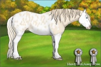 Horse Color:Perlino Splash Appaloosa 