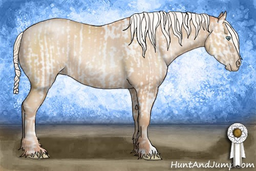 Horse Color:Gold Champagne Pearl Appaloosa Rabicano and Silver Sable Champagne Pearl Rabicano