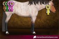Horse Color:Brown Roan 