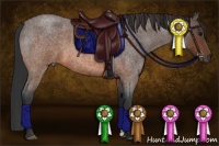 Horse Color:Brown Roan 