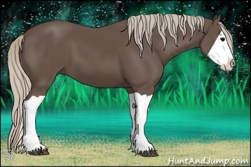 Horse Color:Silver Black Splash 
