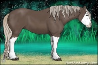 Horse Color:Silver Black Splash 