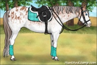 Horse Color:White Spotted Bay Splash Blanket and White Spotted Bay Splash Blanket