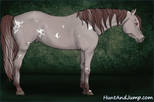 Horse Color:White Spotted Chocolate Bay Chinchilla Sabino