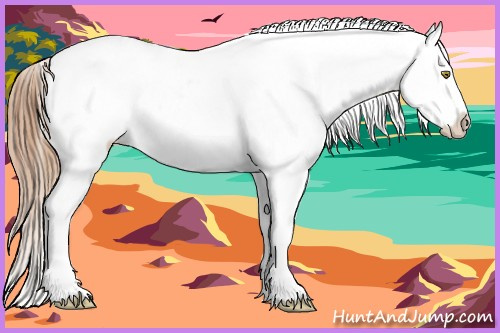 Horse Color:Gold Champagne Near Leopard  and Gold Champagne Frame Near Leopard 