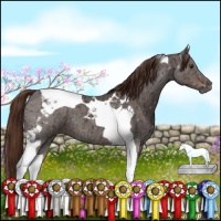 Horse Color:Liver Chestnut Ice Tobiano
