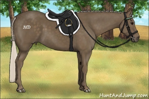 Horse Color:Silver Black