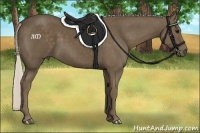 Horse Color:Silver Black 